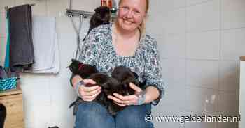 Anne kreeg de vraag of ze een hoogzwangere poes wilde opvangen. En toen gebeurde er iets wat ze nooit had voorzien