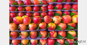 Appelprijzen in Moldavië stijgen door slinkende voorraden