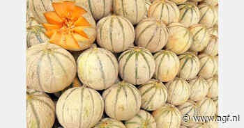 Afzet Spaanse meloenen in EU sinds 2019 met 32% gedaald