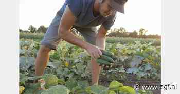 Bandenslijtage vervuilt groenten en fruit