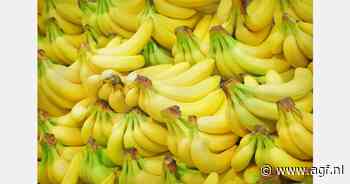 Celstraffen geëist voor mislukte cocaïnesmokkel via bananentransport