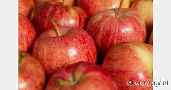 Prijs aardbeien €8,74 (+4%)