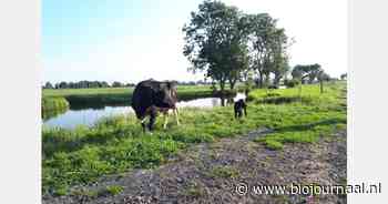 "Klimaatbestendiger via agroforestry en kleine lichte trekkers"