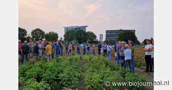 "Op naar een weerbare biologische aardappelketen met robuuste rassen"