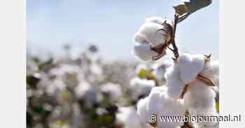 Demeter-gecertificeerd textiel geïntroduceerd