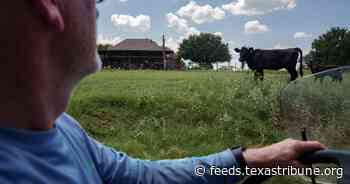 Texas bill seeking to keep toxic “forever chemicals” off farmland misses key deadline