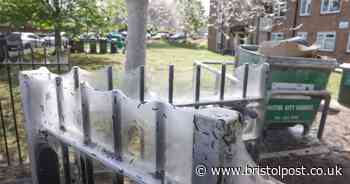 Bizarre sight on Bristol street after insects take over