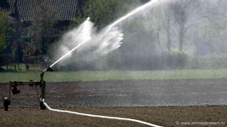 'Historische droogte': waterschap neemt extra maatregelen