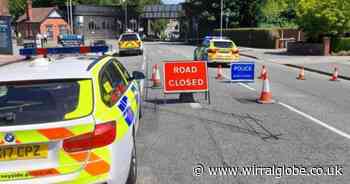 Retired dinner lady died from 'traumatic brain injury' after being hit by car  