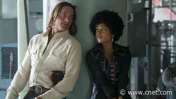 'Duster': How to Watch the Madcap Retro Action Series