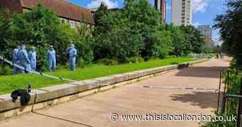 Teens guilty of stabbing former friend to death in 'senseless' Deptford attack