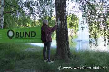Herford: BUND und Grüne setzen ein Zeichen gegen  geplante Baumfällung