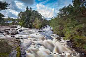 Ayrshire farm fined £600 for environmental breach