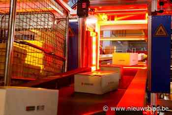 Tieners sjoemelen voor bijna 1.000 euro met pakjes van Zalando en riskeren celstraf: “Was jong, dom en naïef”