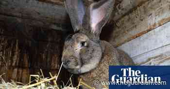 Tell us: do you have an unusual emotional support animal?