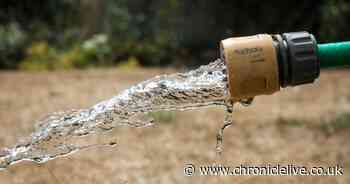 Gardeners warned 'driest May in decades' could lead to hosepipe ban for millions