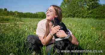 Vet reveals what it means when your dog licks your face, hands or feet