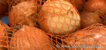 Tweede paasdag amper te zien in uienexport