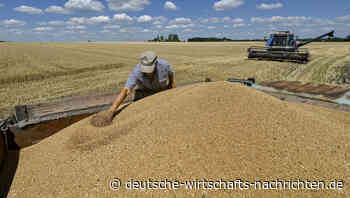 Zollschock für Ukraine – EU will Agrarimporte drastisch begrenzen