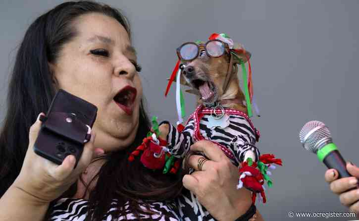 SCNG wins three National Headliner Awards