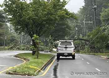 Downed trees knock out power, block traffic in parts of Arlington