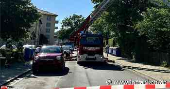 Bamberger Anwohner rufen Feuerwehr - "Baum in bedrohlicher Schieflage"