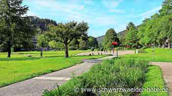 Sondersitzung in Bad Herrenalb: Krokodilfarm auf Schweizer Wiese?