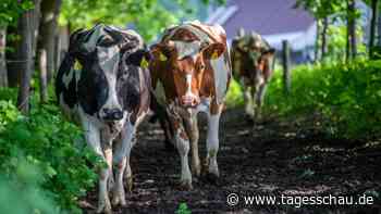 EU-Kommission will Vorgaben für Landwirte vereinfachen