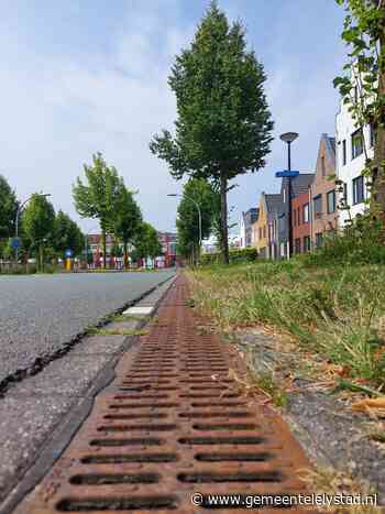 Schoonmaken goten doorgaande weg rondom centrum