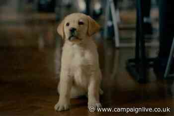 Andrex ad encourages kids to 'poo poo' school toilet embarrassment