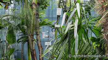 Belgische paviljoen in Venetië toont onderzoek naar plantenintelligentie en binnenklimaat