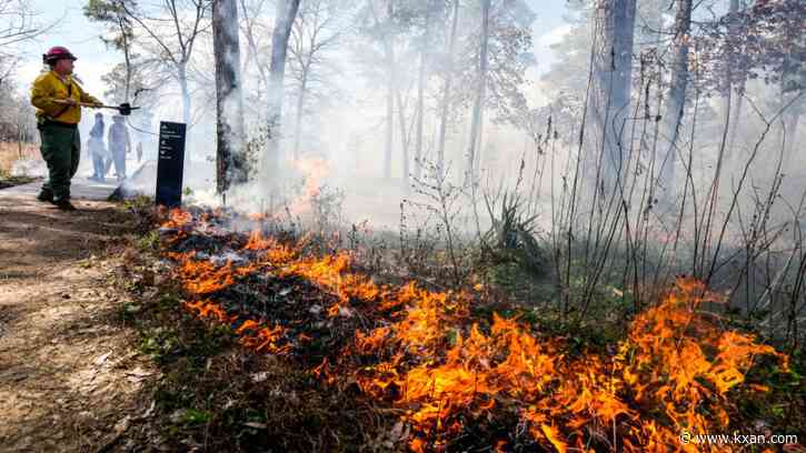 Travis County wildfire prevention program targets builders, landscapers and homeowners