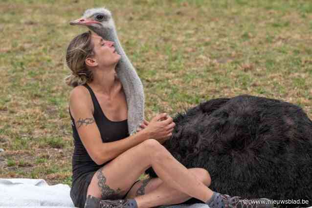 Bekende struisvogelfluisteraar Wendy (43) blijkt allergisch voor... struisvogels: “Ik dacht dat ik zo kuchte door het roken, tot longarts de link legde”