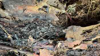 Waldbrandserie in Nettetal: Tatverdächtige festgenommen