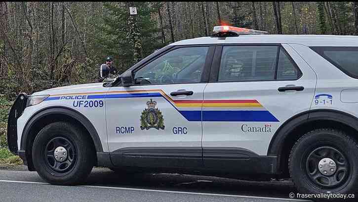 Agassiz RCMP investigating reported pit bull attack that left a man with over 50 stitches