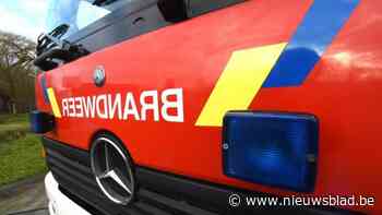 Buitenbrand in Bree blijkt afvalbrand te zijn