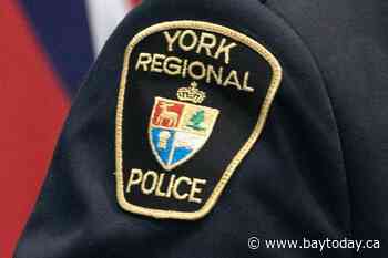 Man pleads guilty to criminal negligence in dog attack that injured girl: York police