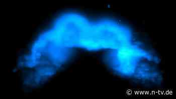 Zellen formieren sich im Embryo: Forscher filmen erstmals Entstehung eines Herzens