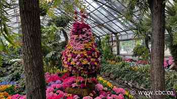 Toronto's iconic Palm House at Allan Gardens reopens after restoration