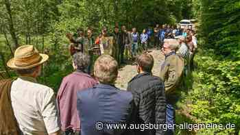 Ab in den Wald: Was der Stadtrat im städtischen Forst erlebt und erfährt