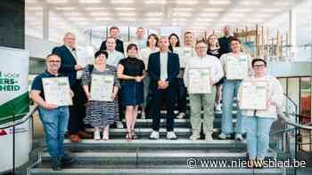 Boechout, Geel, Lille en Meerhout krijgen erkenning voor hun inzet voor verkeersveiligheid