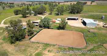 Saddle up: Marionvale features established buffel, excellent improvements