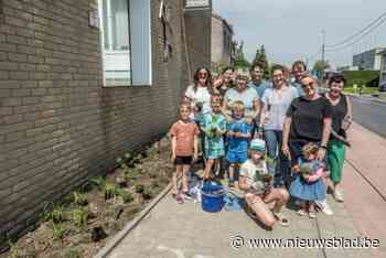 Geveltuin voor de Spanjeschool