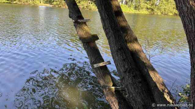 Zwemmen in gemeentelijke visvijver? “Zeker niet deze zomer, we denken eerder aan tijdelijk afsluiten door overlast”
