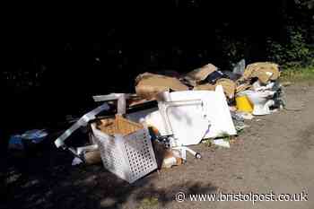Fly-tipper ordered to pay £4,500 after dumping waste on country lane