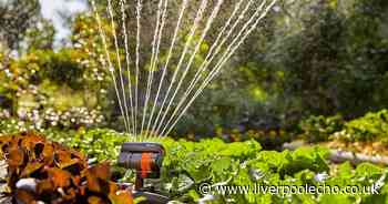 Amazon's sprinkler with 'good coverage' that's a 'must have for rectangular lawns' now £19