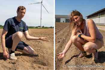 “Het lijkt erop dat ze bij de provincie geen eten willen”: Meetjeslandse boeren met rug tegen de muur door droogte en oppompverbod