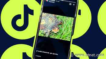 You can make a photo come alive with TikTok's new AI tool - here's how