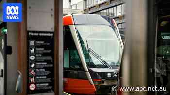 Should government pay for business woes over Sydney's light rail?