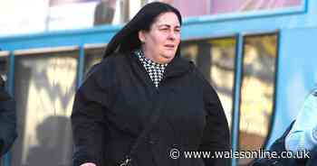 Woman who got into Facebook feud ends up with £480 bill